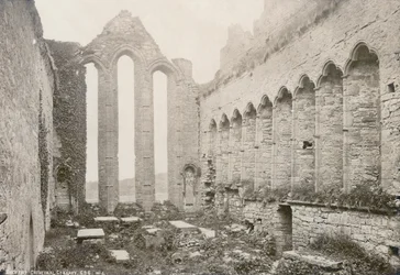 Cattedrale di Ardfert, fotografata da Robert French per il William Lawrence Photographic Studio, c.1880s